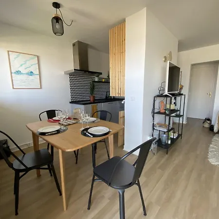 Apartment T3 Avec Terrasse, Parking Et Wifi A - Fr-1-374-163 *