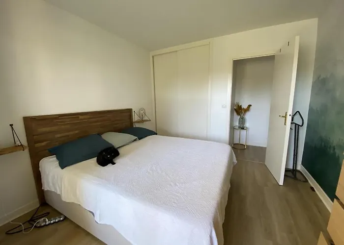 Apartment T3 Avec Terrasse, Parking Et Wifi A - Fr-1-374-163 Arcachon