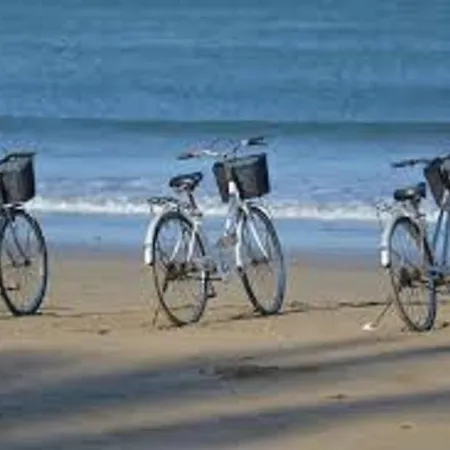 T3 Avec Terrasse, Parking Et Wifi à - Fr-1-374-163 Appartement